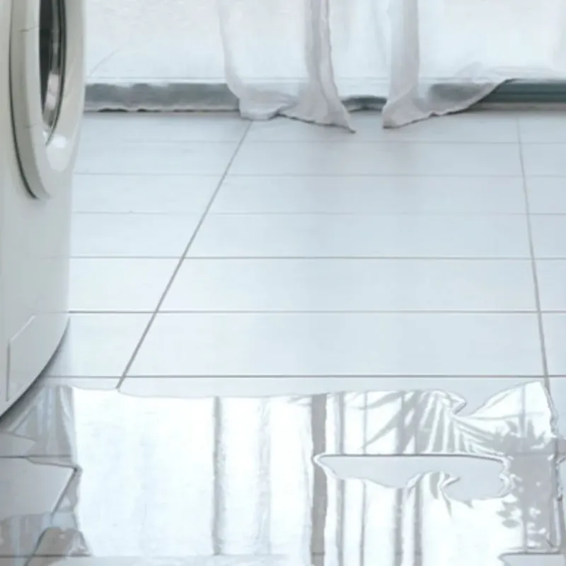 Appliance Leak Cleanup in Rush City, MN