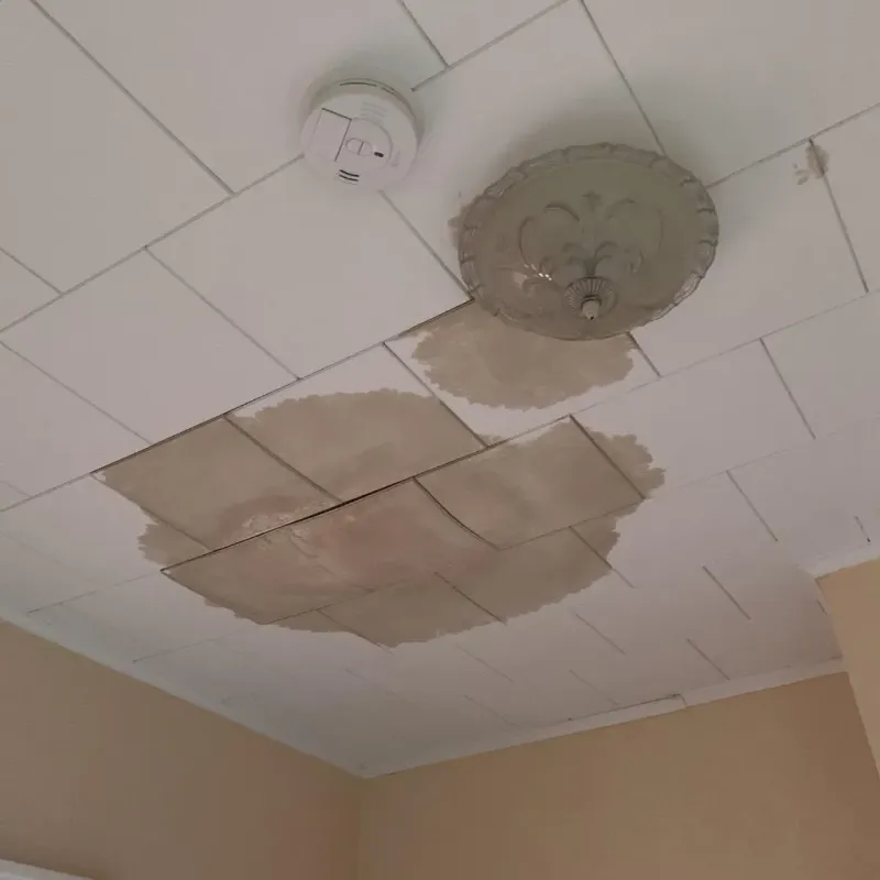 Ceiling Water Damage Repair in Rush City, MN