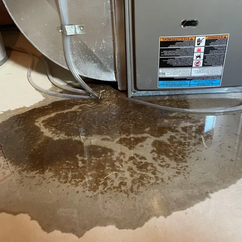 Pipe Burst and Leak Restoration in Rush City, MN