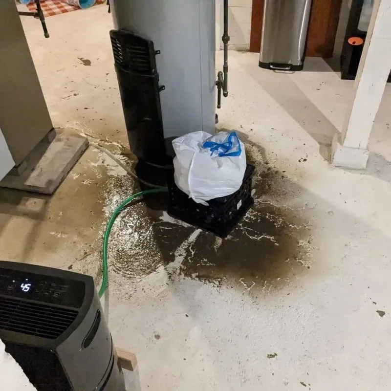 Sewage Backup Cleanup Service in Rush City, MN